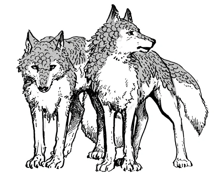 Scale wolf creature illustration